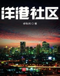洋港有交警吗